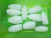 Frozen Pineapple cuttlefish (Matsukasa)