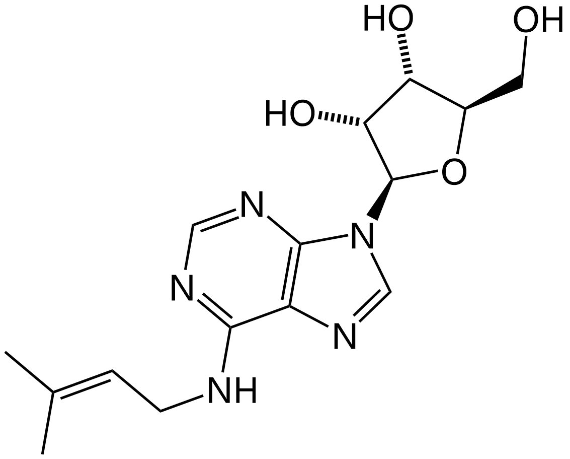 Riboprine structure.png