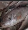 Grouper