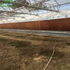 High quality honey comb cooling pad multi span plastic greenhouse for commercial