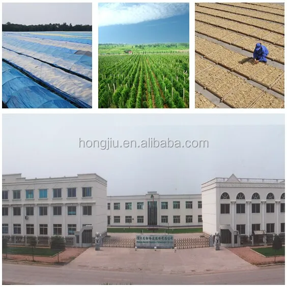 
2018 New Product Supplement In Herbal Ginseng Extract Rg3 