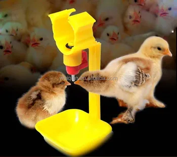 Poultry Nipple Drinker Chicken Water Feeder Plastic Drip Cup Buy