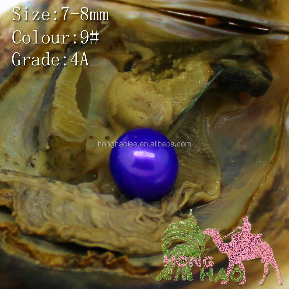 

AAAA grade 7-8mm color #9 vacuum packed oysters akoya pearl oyster saltwater pearl oyster many colours stock free shipping, N/a