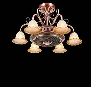 Buy Colorled Classic Negative Ion Ceiling Fan Lights