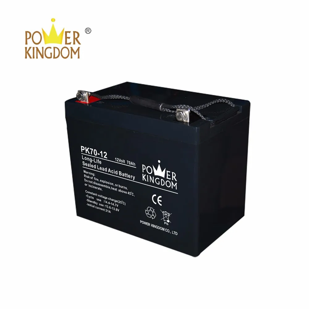 Power Kingdom advanced plate casters battery 12v agm manufacturers solar and wind power system-2