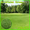 Golf Tools for Artificial Grass