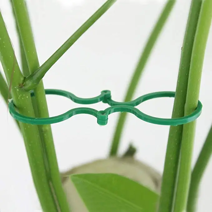 Garden Plant Support Plastic Vine Clips For Vegetables - Buy Clips For ...