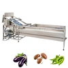 instant noodle processing cleaning dry vegetable chieves washing machine