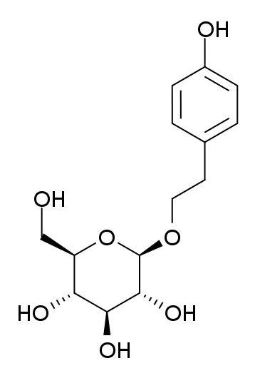 Salidroside.jpg