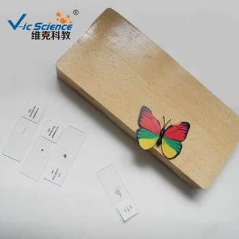Popular Set Of Student Medical Parasitology Slides(50 Kinds) - Buy Student Medical Slides,Microscope Glass Slide,Prepared Slides Product on