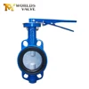 Cast iron Split body nylon coated rubber lining wafer type butterfly valve
