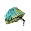 Compact Foldable Umbrella Auto Open and Close 3 Folding Umbrella