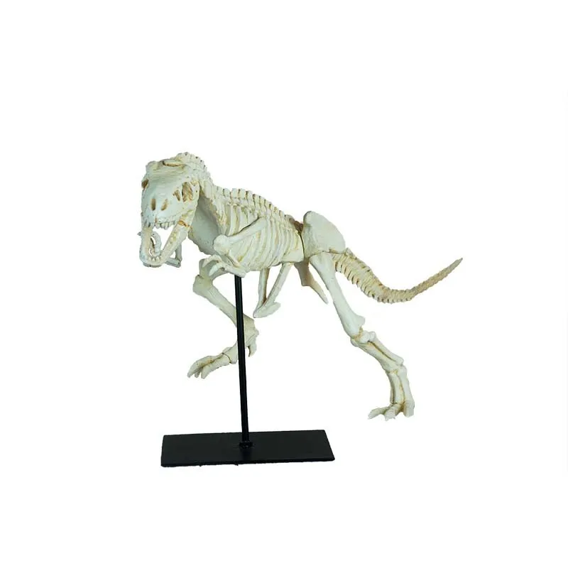 Dinosaur Fossil Mold Tyrannosaurus Rex Skeleton Home Decor Carved Resin SCULPTURE Home Decoration 3D & Gift Folk Art CF1130031 manufacture