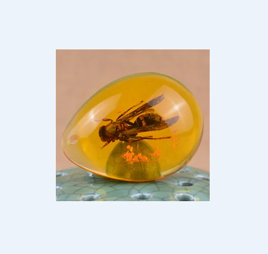 

bee art collections 5cm wasp in amber insects specimen