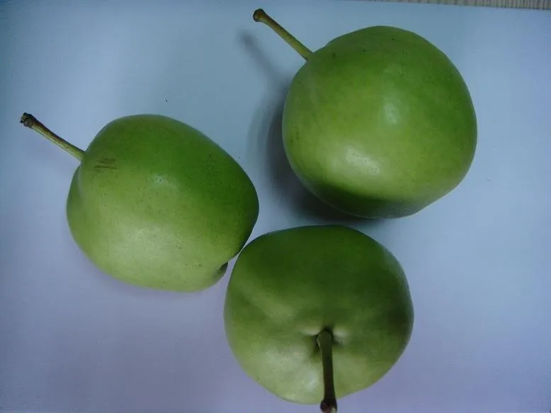 所有行业  农业 水果 新鲜水果  新鲜梨子