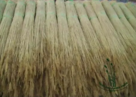 1237691034025_coto-reed