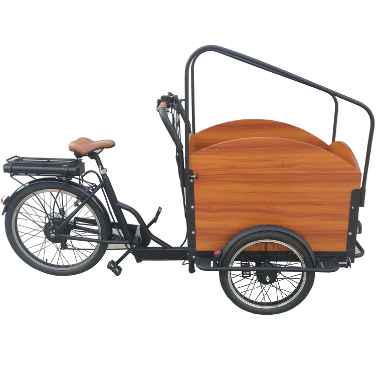 tricycle gas motor kit