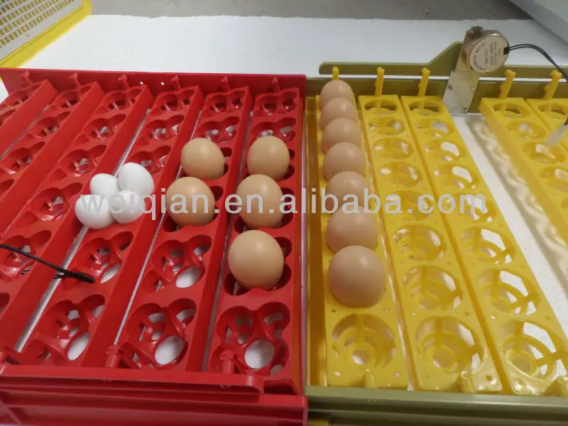 Incubator Quail Egg Trays Buy Incubator Quail Egg Trays,Quail Egg