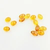 EU enteric coated Omega 3 1000mg halal fish oil capsules