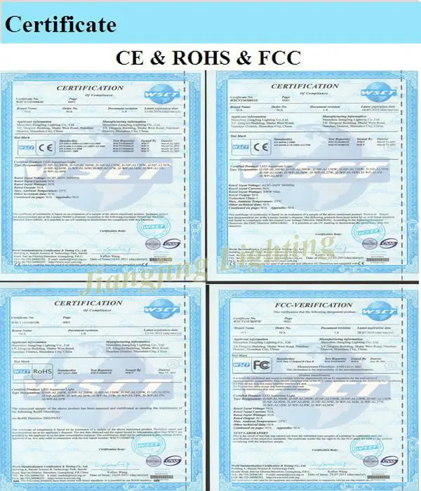 AL Certificate-.jpg
