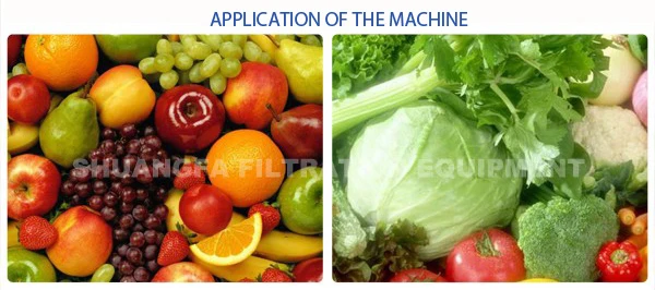 vegetable juicer