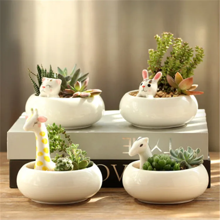 indoor animal shape decorative cactus ceramic flower plant pot planters