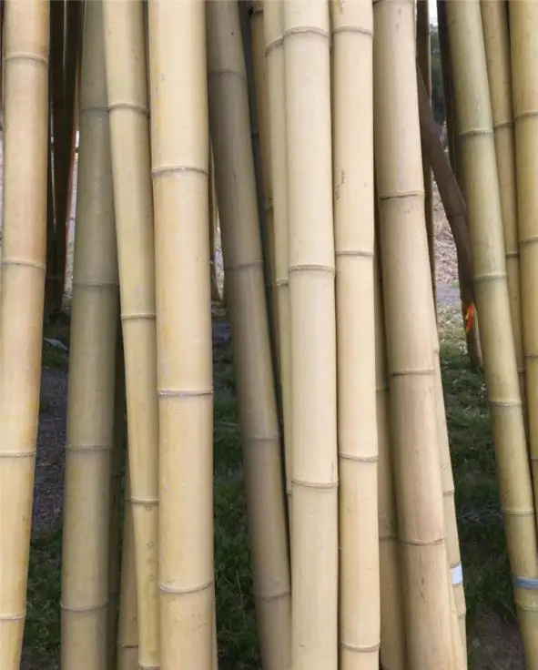 Kissa-Frusta da cucina in bambù 