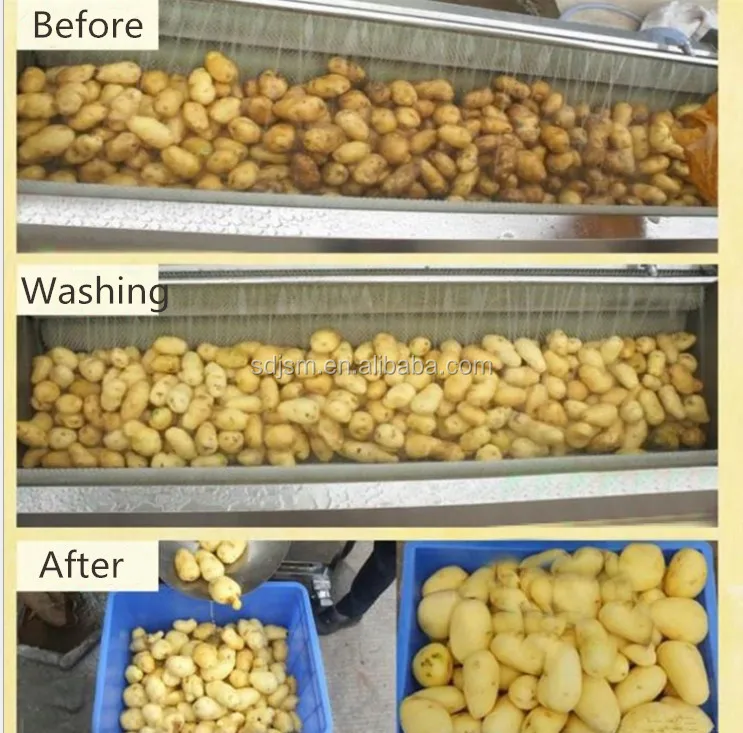 vegetable cleaning machine.jpg