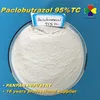 White powder Paclobutrazol Professional China supplier Best Price Paclobutrazol 95%tech