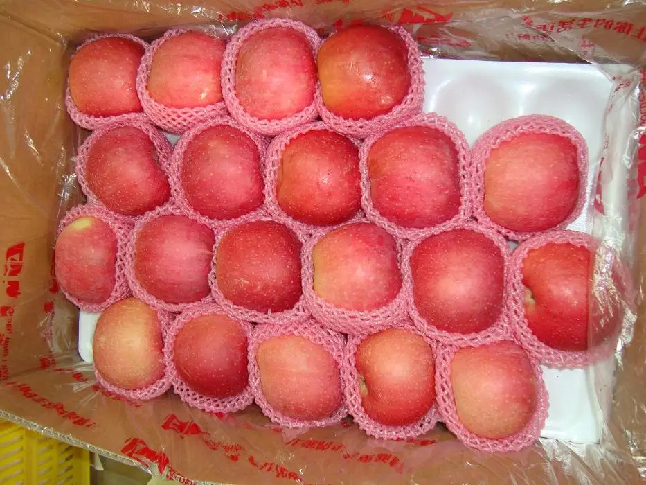 赤富士リンゴのすべての果物の中国最高の名前が販売されています Buy 名のすべての果物 最高価格富士リンゴ アップル販売のため Product On Alibaba Com