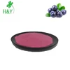 100% water soluble blueberry powder blueberry prices