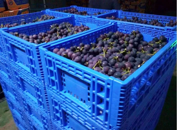 20kg Recyclable Vegetable Plastic Container Storage Stackable Bins