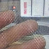 fruit used fly insect net