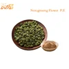 Extract of Netoginseng Flower standardized for content of sanchinoside Factory Supply