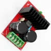Taidacent Single Supply Full Bridge 350W High Performance Class D Mono Audio Amplifier Kit Circuit IRFB4227 IRS2092 Pcb