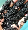 Anaerobic reactor used citric-acid anaerobic granular sludge