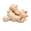 export best sell fresh dried power ginger from china