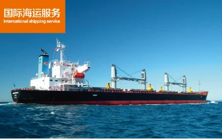 worldwide FCL/LCL sea freight container shipping custom declaration and clearance