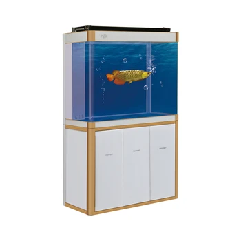 arowana fish tank price