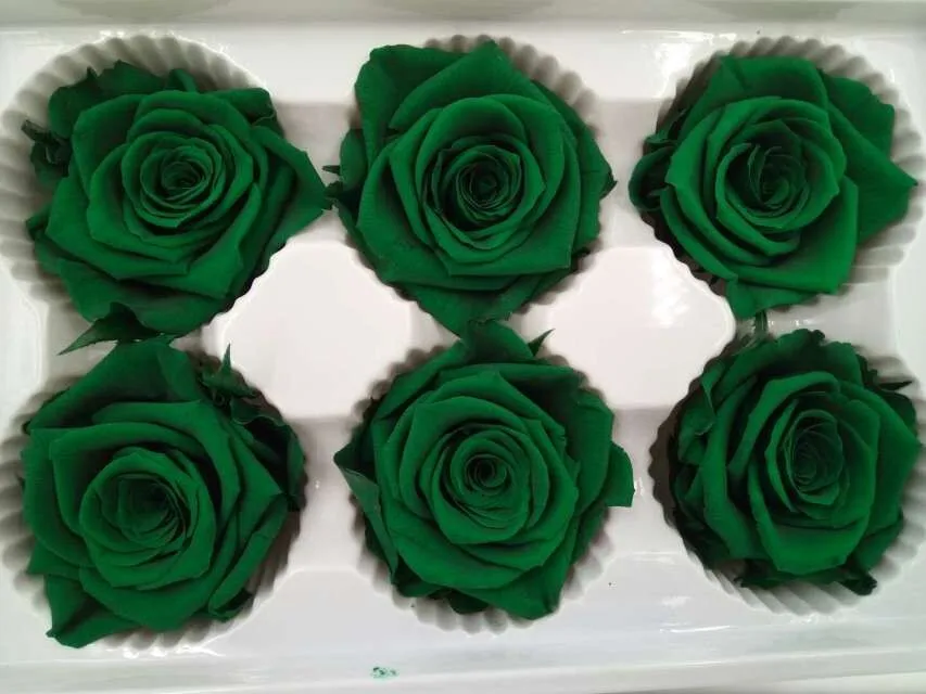 preserved rose green.jpg