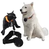 Top quality automatic record digital mini Pet Collar Camera