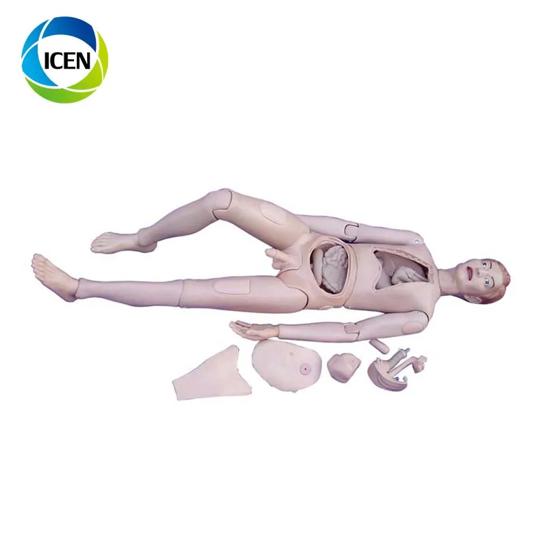 nurse training model