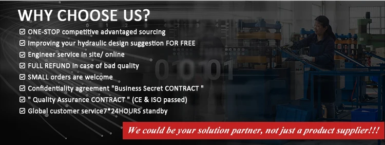 High speed small 220v customized electric 12v dc hydraulic power pack unit