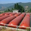 OEM service for bio digester small biogas plant plant with electric generator