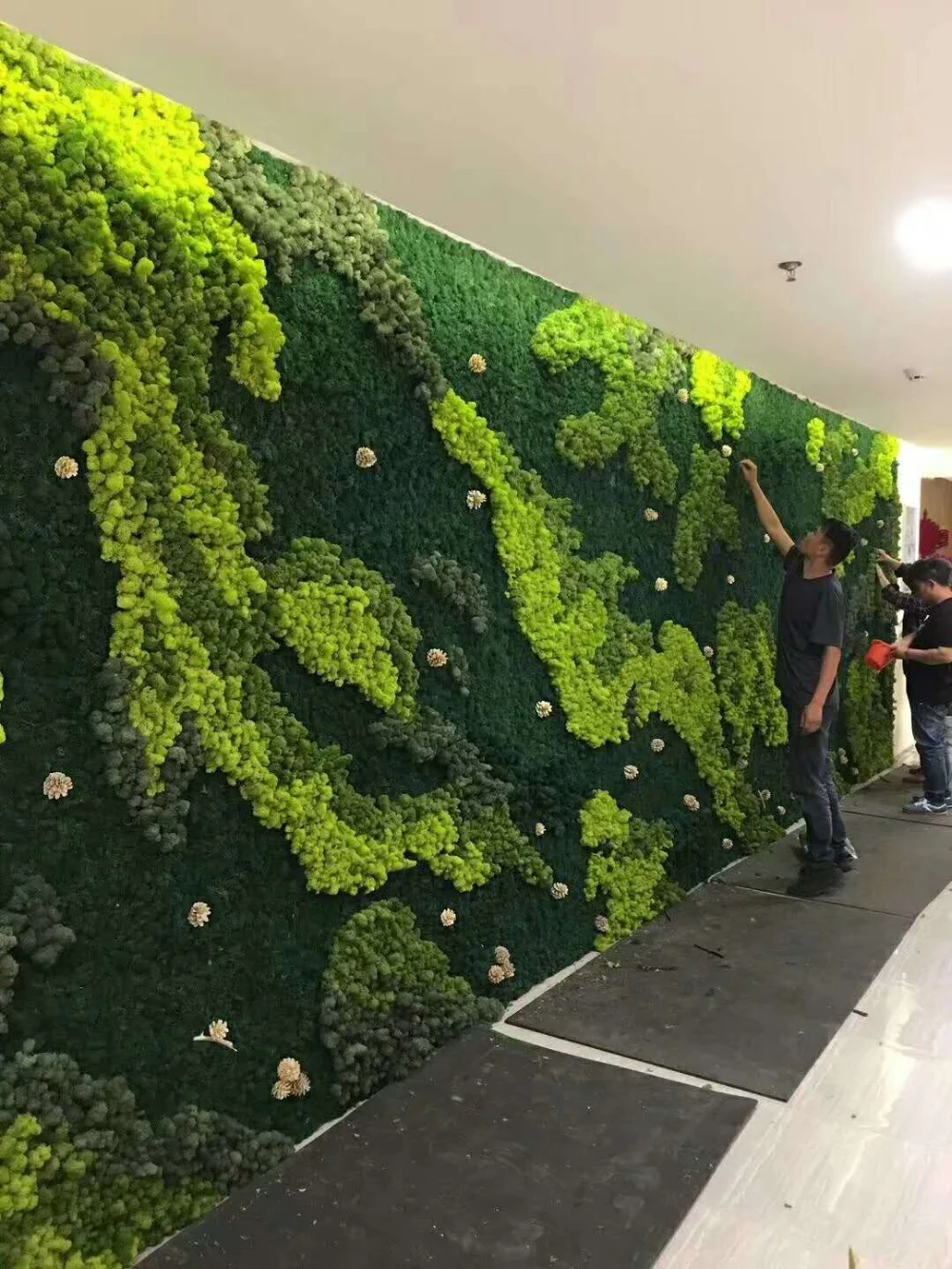 Etrenal Natural Wall Artificial Decorative Moss Irish Moss Buy Irish