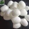 cut silkworm cocoon