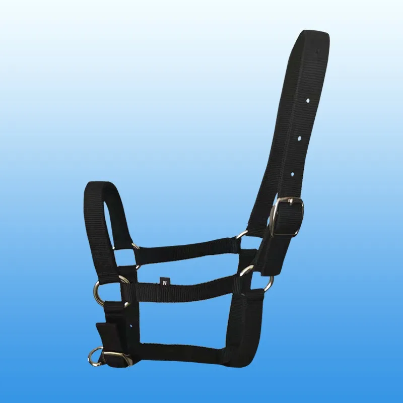 Horse Riding Equipment Endurance In Different Color Horse Strap Bridle