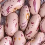 light speckled kidney beans heilongjiang origin 03.jpg
