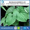 Organic piper methysticum extract with kavalactones 70% for food coloring agents by gaoyuan factory