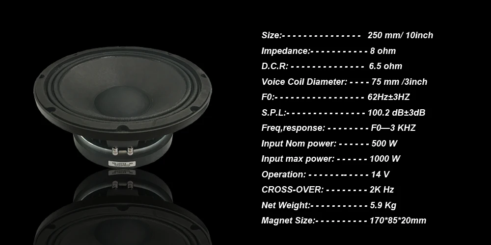 10 inch mid-bass .jpg